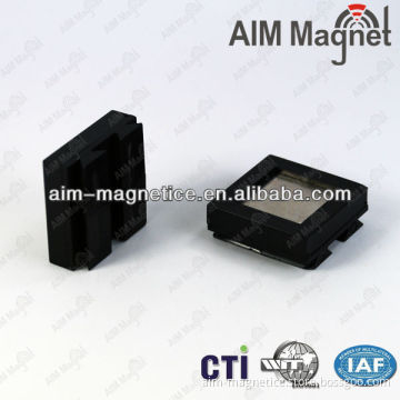 Strong Rare Earth Neodymium Plastic Coated Magnet for Sale